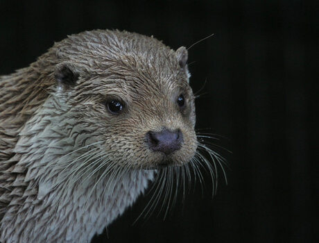 Ben JIJ zo mooi dan?