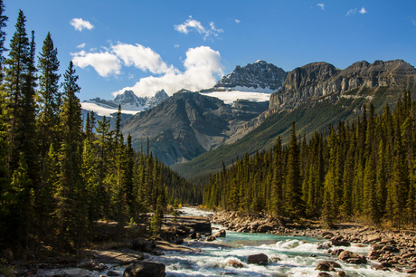 Athabasca river