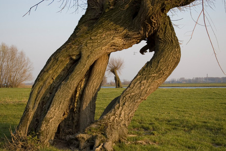 Doorkijkje