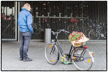 Daarstajedanmetjebloemen