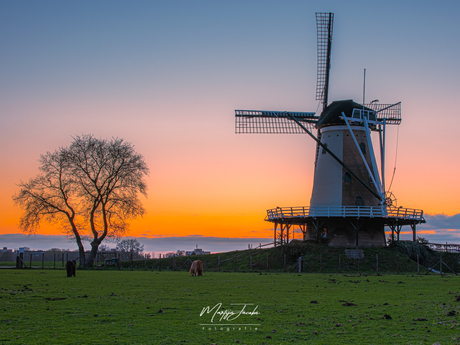 Zonsondergang Molen de Windhond, Soesy