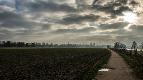 Landschap in Arcen aan de Maas