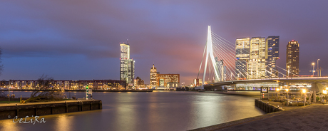 Rotterdam_6
