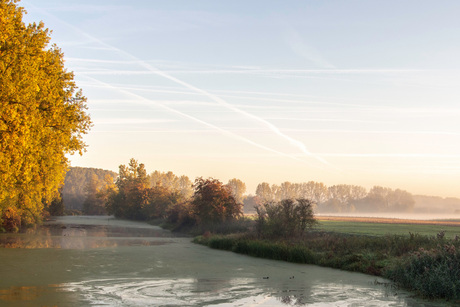 Ochtend in de herfst