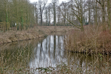 Nederhemert-zuid