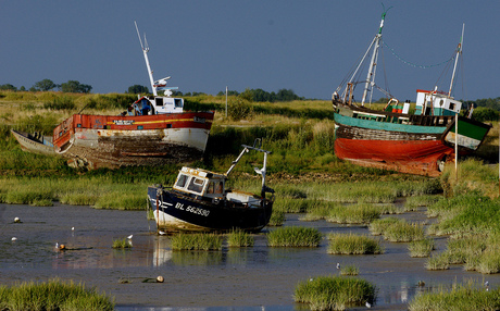 Crotoy in Frankrijk.jpg