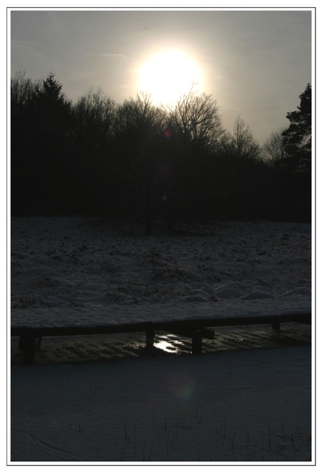 De Hoge Veluwe