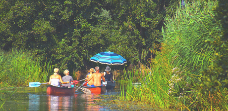 DSC_7221 Op een mooie zomerdag.