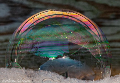 Kleurenspel in een zeepsopbel