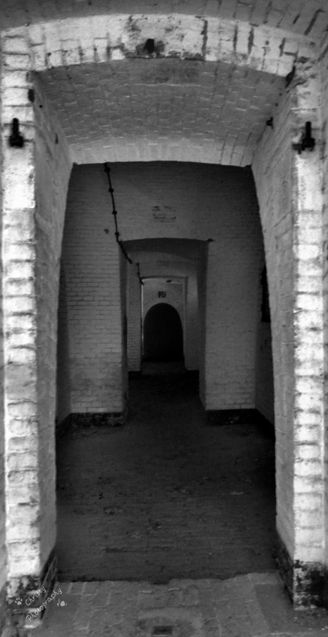 Corridors in a bunker