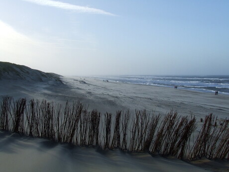 Texel