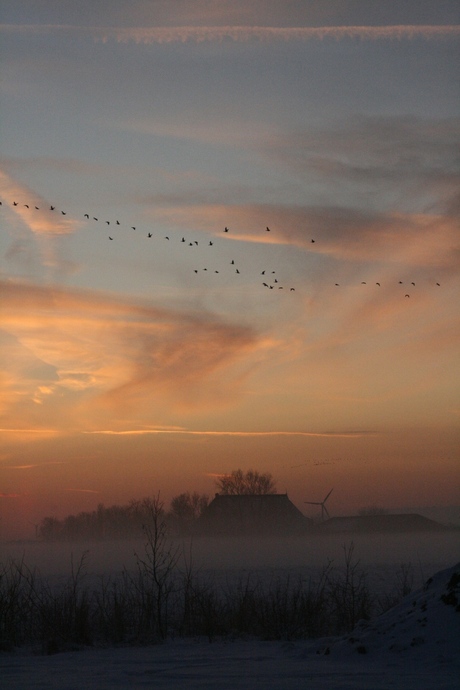 Net na zonsondergang pingjum