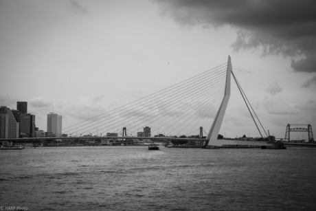 De Bruggen van Rotterdam