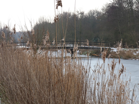 bruggetje in de winter