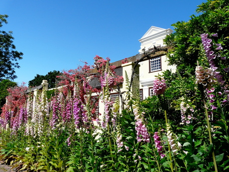 Vergelegen Wine Estate