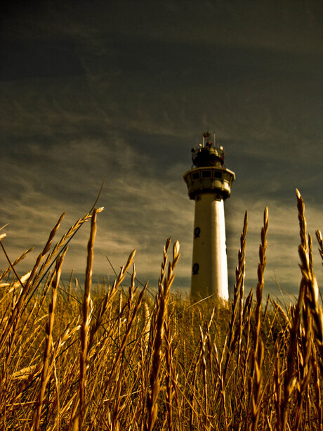 Vuurtoren van Egmond