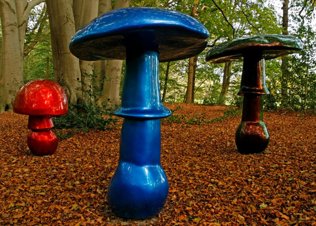 paddestoelen