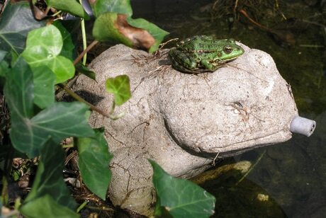 Baas boven baas