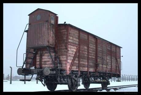 Birkenau 2