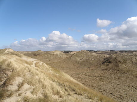 Uit zicht over het duinlandschap