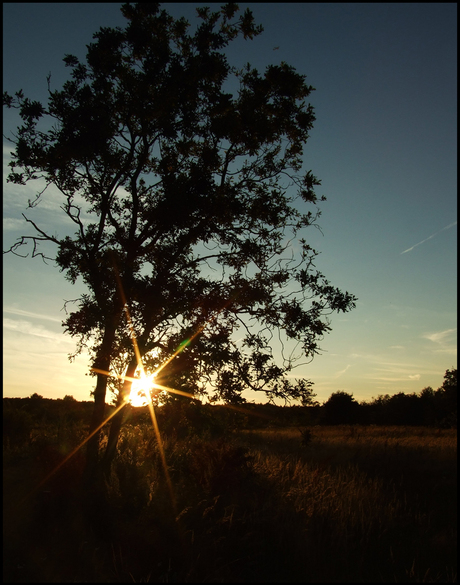 ondergaande zon