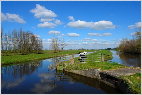 Lekker buiten (2)