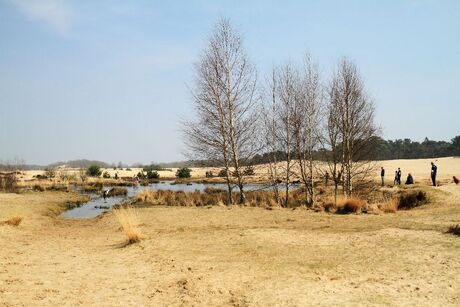 Water in de Dutch Sahara