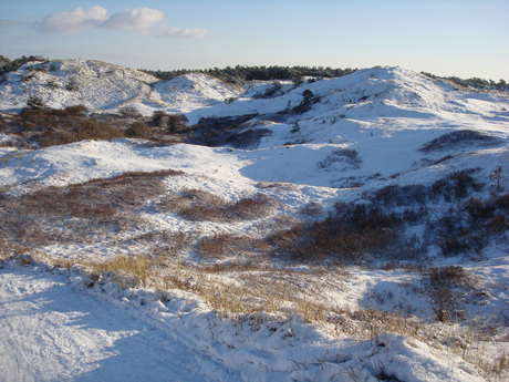 Sneeuw op Texel