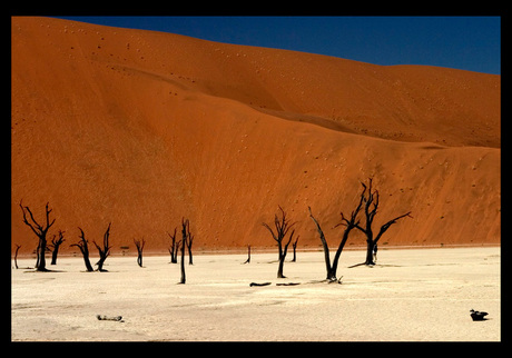 Sossusvlei