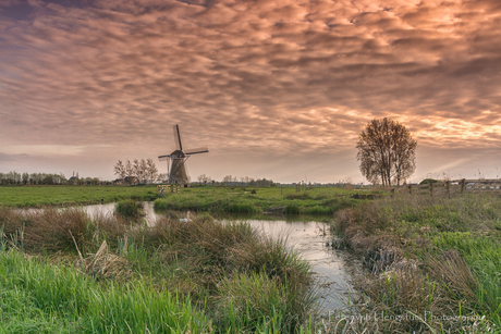 Genieten in de polder