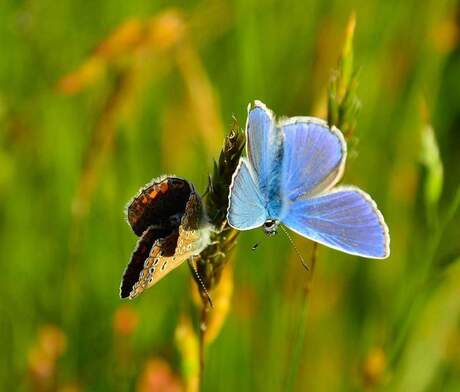 FB_IMG_1433449974597