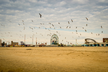 coney island