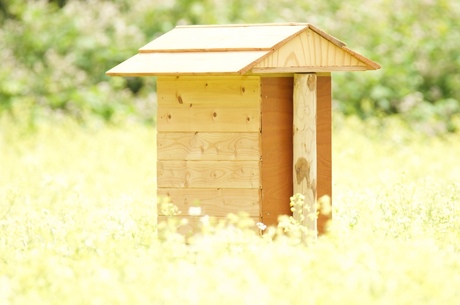 Big house for tiny bees