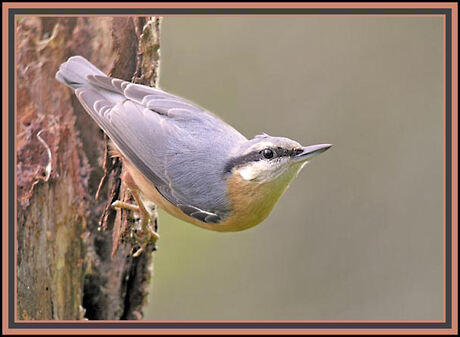 Ongemakkelijke houding