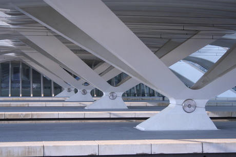 Station Luik Guillemins