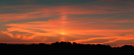 Oranjewoud- zonsopkomst