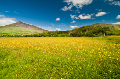 isle of Mull (schotland