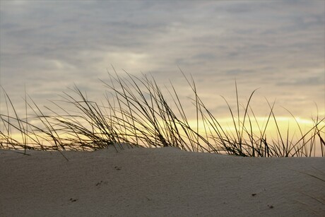 Vlieland in de herfst