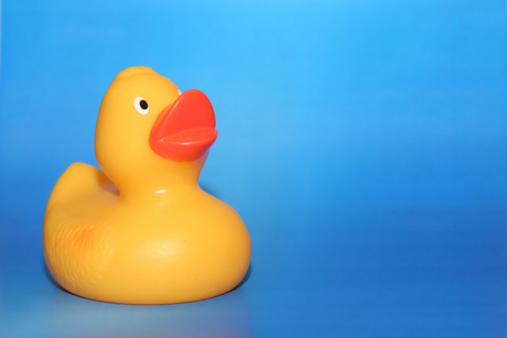 Rubber Duckie