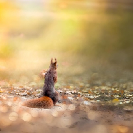 C2AB44F6-E261-42D0-988E-B691933A51B8