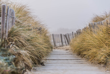 paadje door de duinen