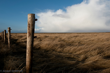 Westpolder