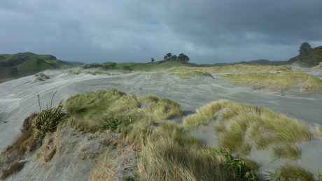 Wharariki Beach