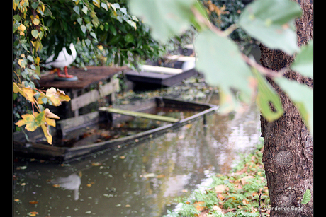 Oude boerenschouwen in het groene hart