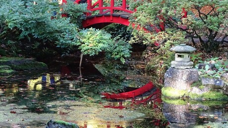 Clingendael, JapanseTuin_herfst_2