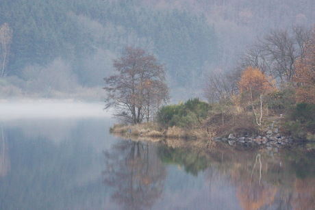 Nog een Misty plaatje uit de eifel