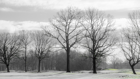 Weleveld zondagmorgen