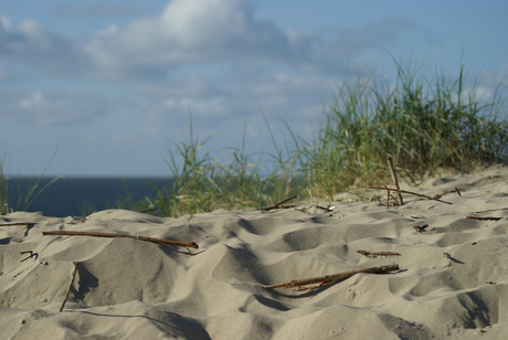 duinen