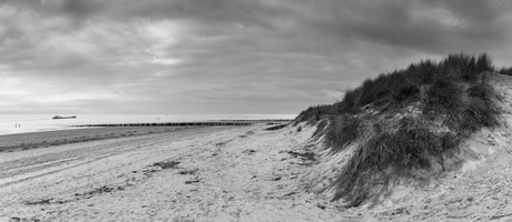 strand Vlissingen