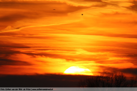 Zonsondergang 9 april 2017